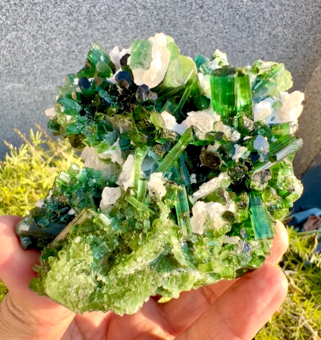 Tourmaline from Afghanistan, Laghman - image 1