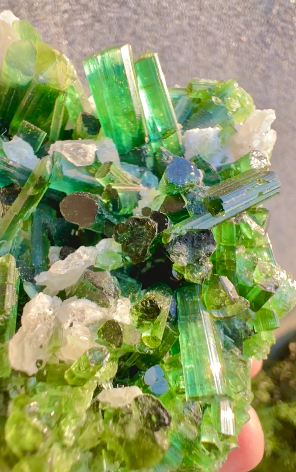 Tourmaline from Afghanistan, Laghman - image 5