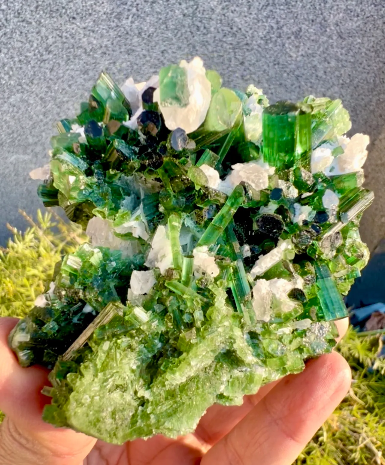 Tourmaline from Afghanistan, Laghman - image 9