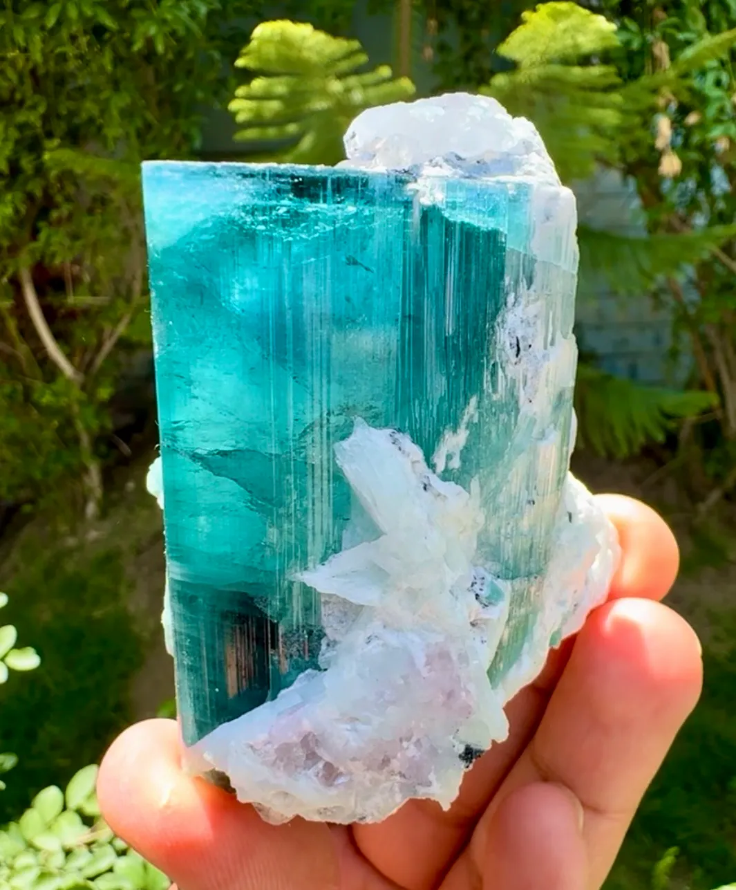 Tourmaline from Afghanistan, Laghman - image 5