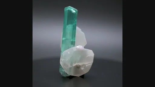 specimen video