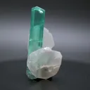 specimen video