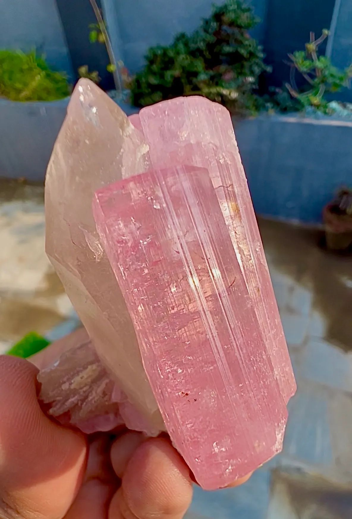Tourmaline from Afghanistan, Nuristan, Pachigram pegmatite field - image 5