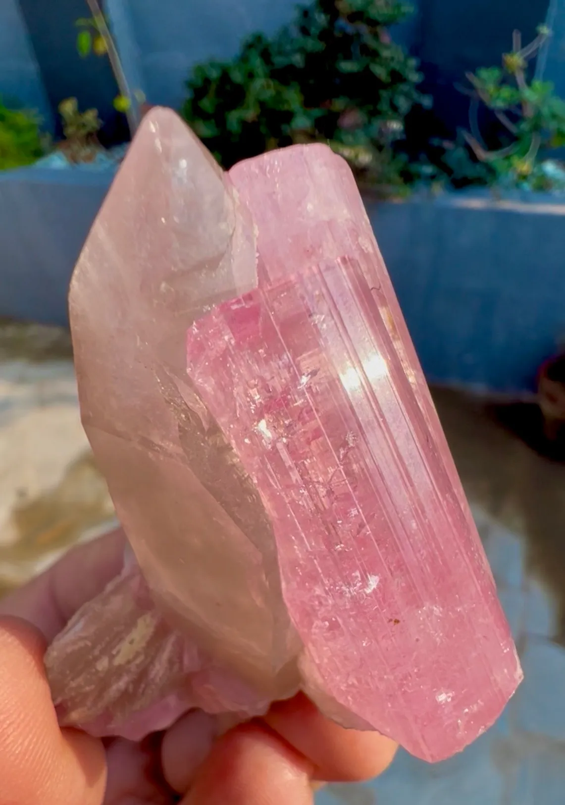 Tourmaline from Afghanistan, Nuristan, Pachigram pegmatite field - image 9