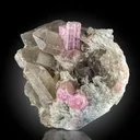 Tourmaline from Afghanistan, Nuristan, Pachigram pegmatite field - image 1
