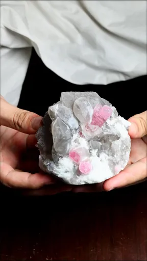 specimen video