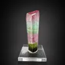 Tourmaline from Afghanistan, Nuristan, Paprok - image 6