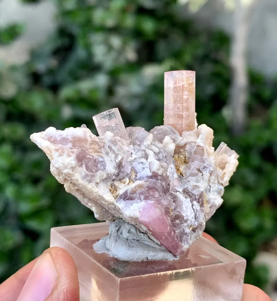 Tourmaline from Afghanistan, Nuristan, Paprok - image 3