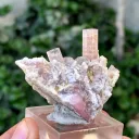 Tourmaline from Afghanistan, Nuristan, Paprok - image 3