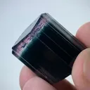 specimen video