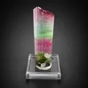 Tourmaline from Afghanistan, Nuristan, Paprok - image 3
