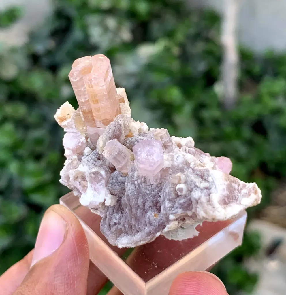Tourmaline from Afghanistan, Nuristan, Paprok - image 6