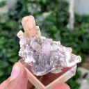 Tourmaline from Afghanistan, Nuristan, Paprok - image 6