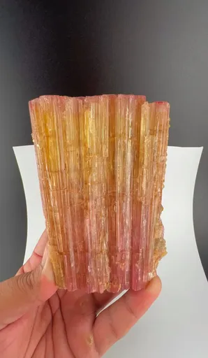 specimen video