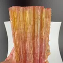 specimen video
