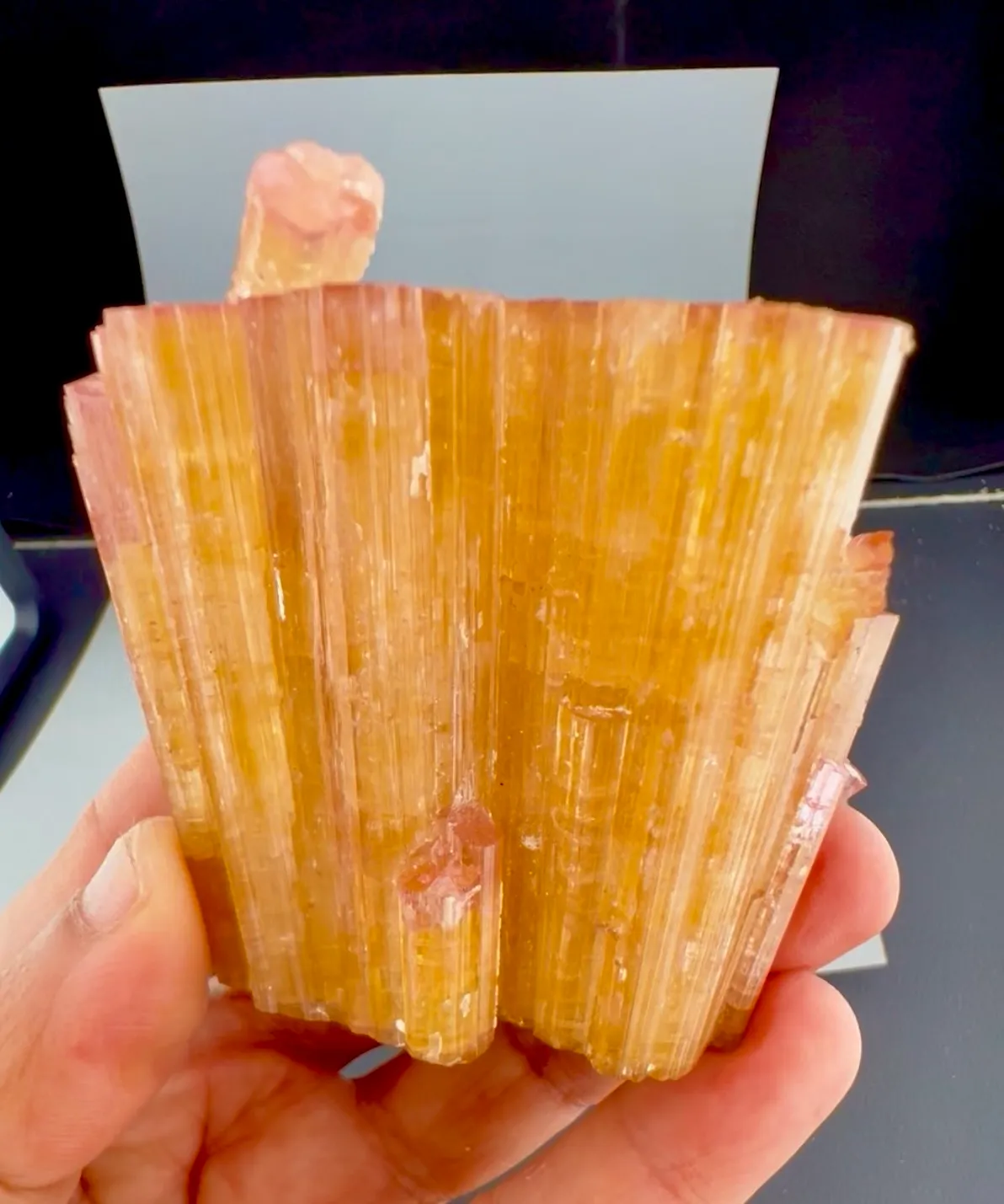 Tourmaline from Afghanistan, Nuristan, Paprok - image 7