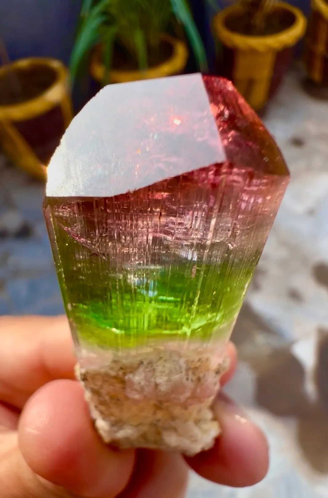 Tourmaline from Afghanistan, Nuristan, Paprok - image 4