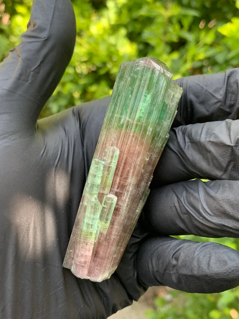 Tourmaline from Afghanistan, Nuristan, Paprok image