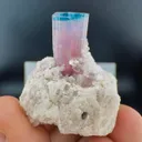 Tourmaline from Afghanistan, Nuristan, Paprok - image 7
