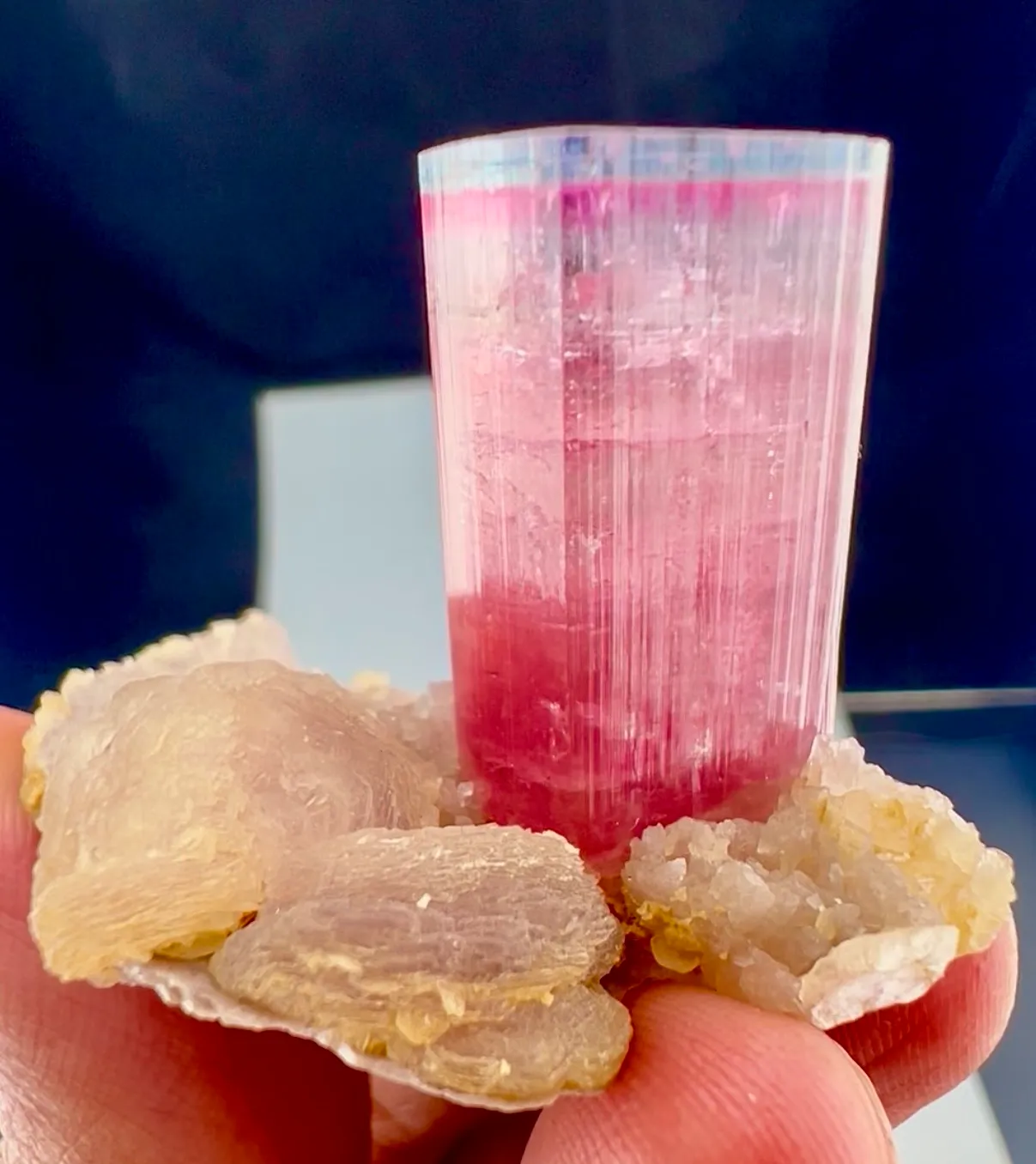 Tourmaline from Afghanistan, Nuristan, Paprok - image 7