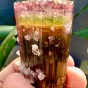 Tourmaline from Afghanistan, Nuristan, Paprok - image 5