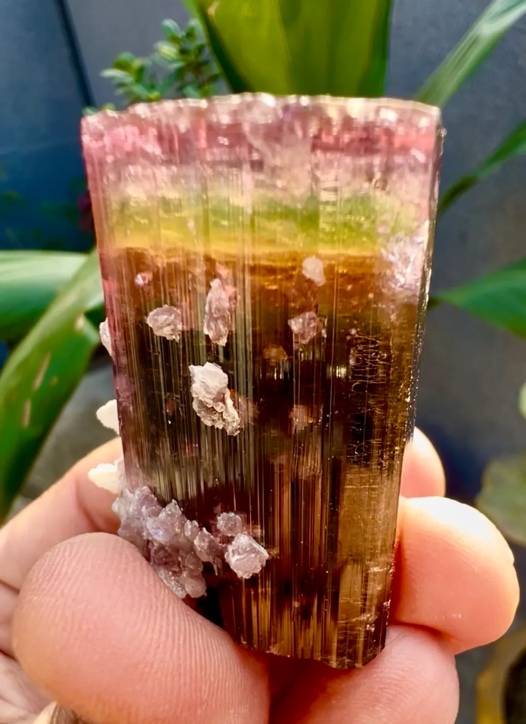 Tourmaline from Afghanistan, Nuristan, Paprok - image 5