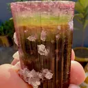 Tourmaline from Afghanistan, Nuristan, Paprok - image 7