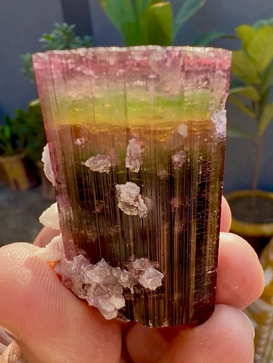 Tourmaline from Afghanistan, Nuristan, Paprok - image 7