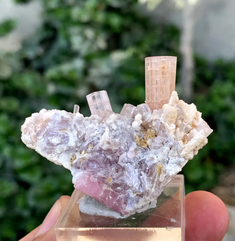 Tourmaline from Afghanistan, Nuristan, Paprok - image 4