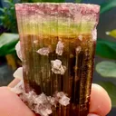 Tourmaline from Afghanistan, Nuristan, Paprok - image 4
