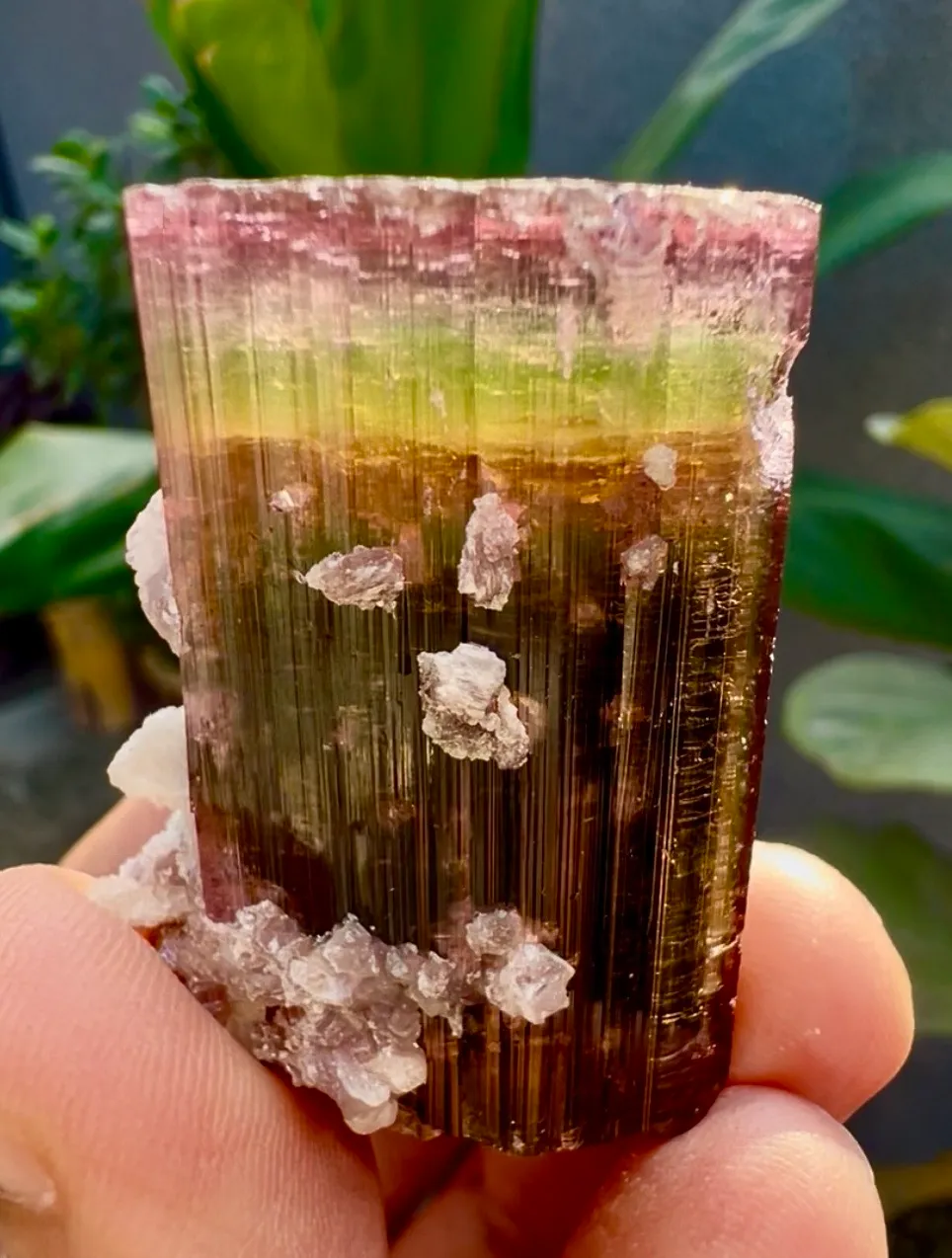 Tourmaline from Afghanistan, Nuristan, Paprok - image 4