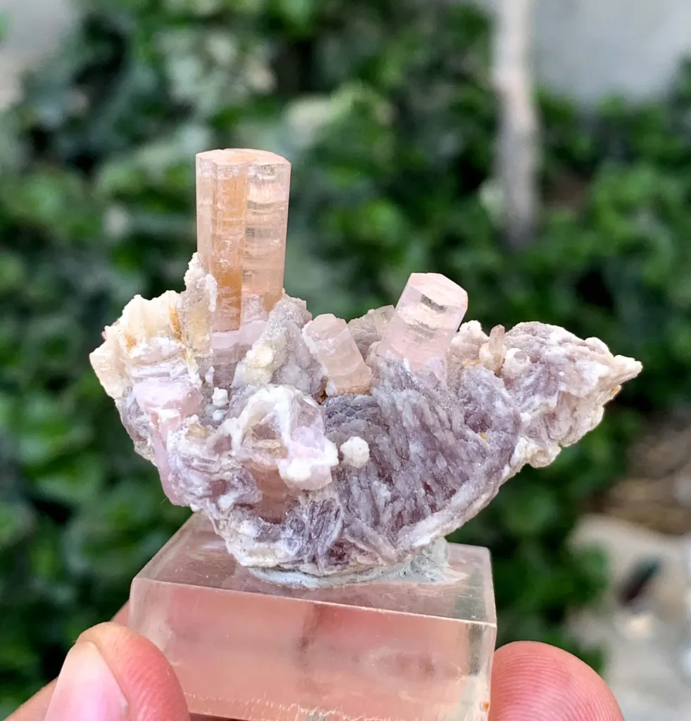 Tourmaline from Afghanistan, Nuristan, Paprok - image 7
