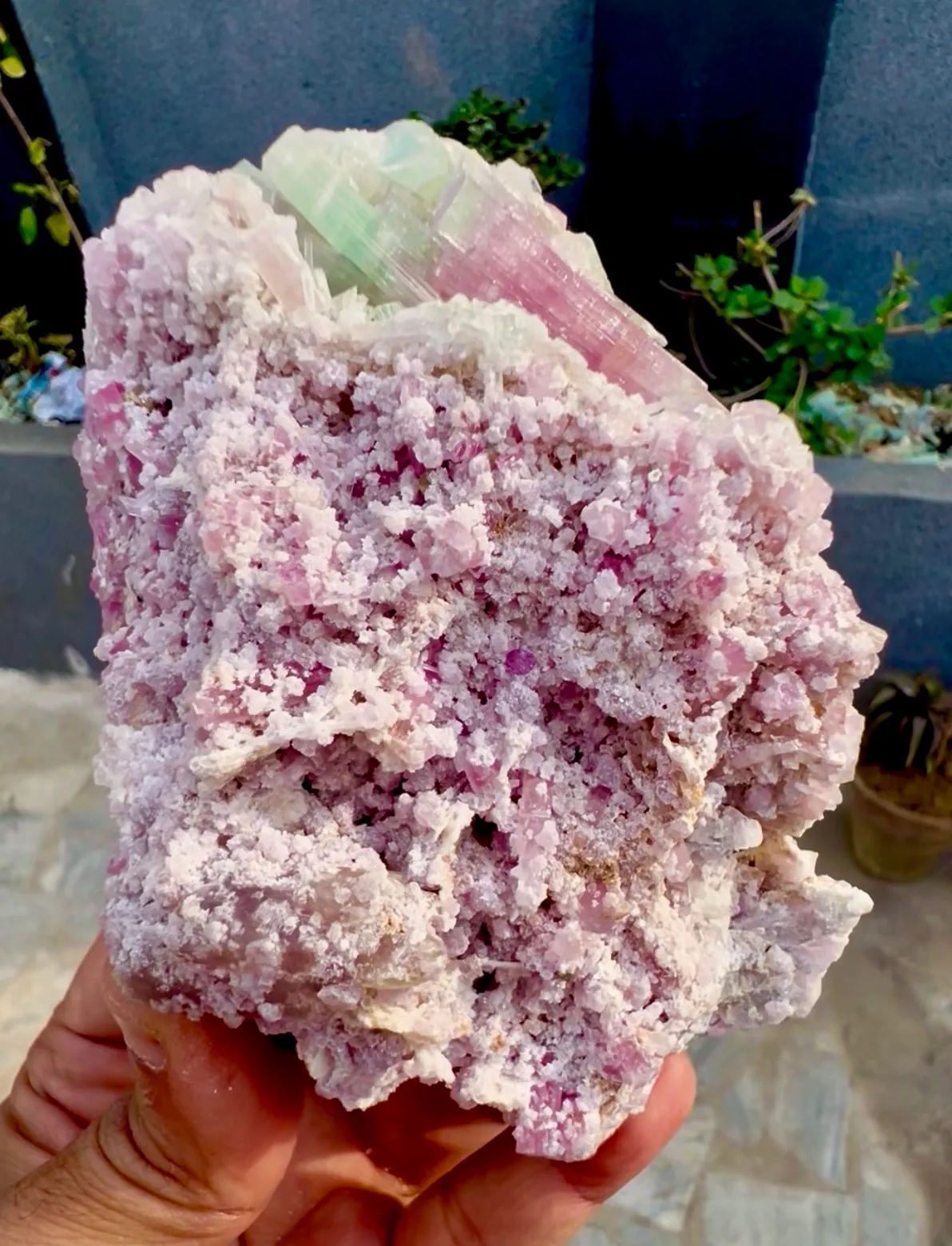 Tourmaline from Afghanistan, Nuristan, Paprok - image 4