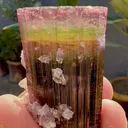 Tourmaline from Afghanistan, Nuristan, Paprok - image 6
