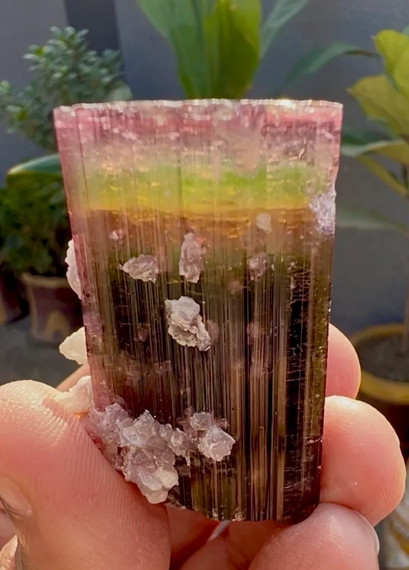 Tourmaline from Afghanistan, Nuristan, Paprok - image 6