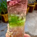 Tourmaline from Afghanistan, Nuristan, Paprok - image 2