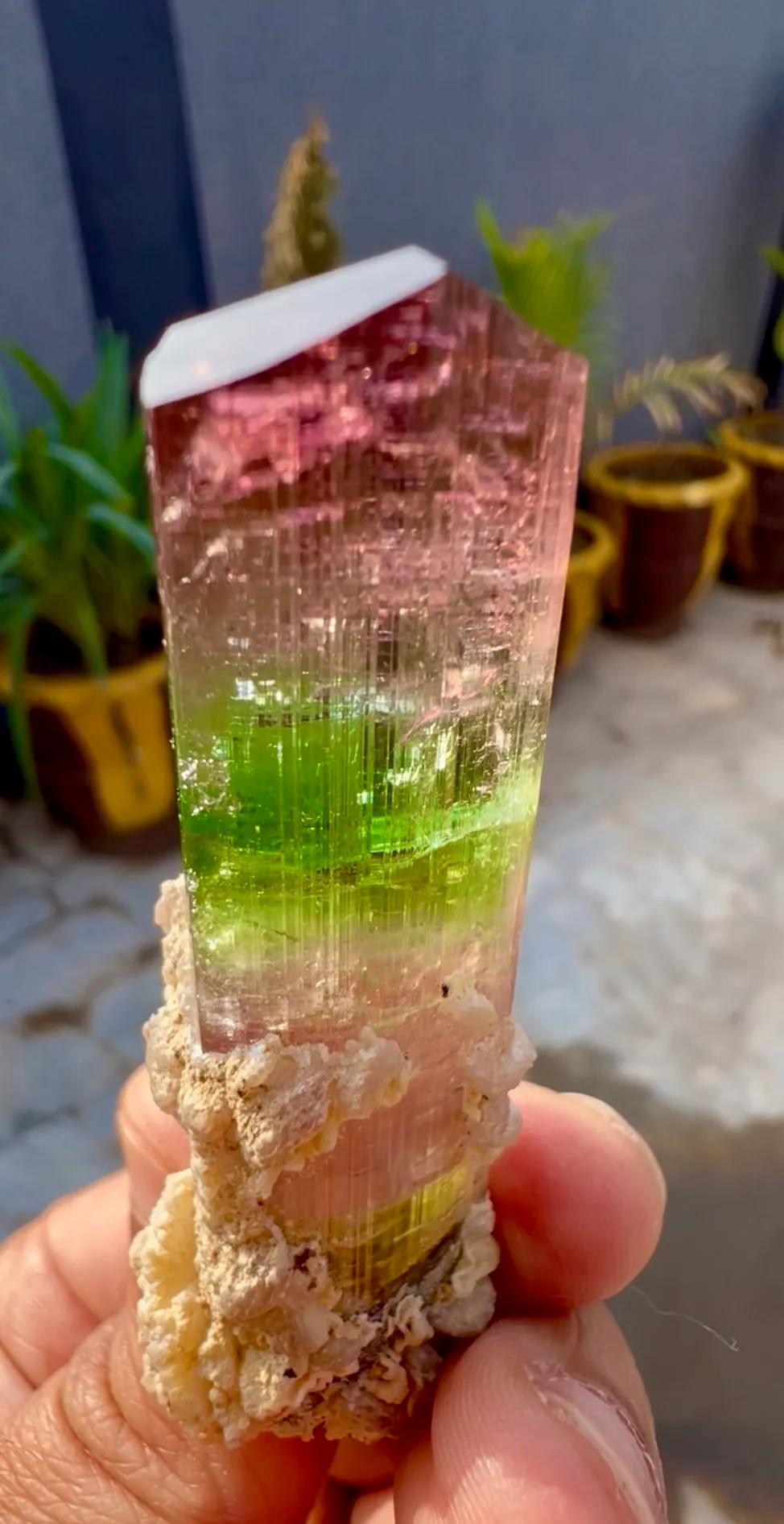 Tourmaline from Afghanistan, Nuristan, Paprok - image 2