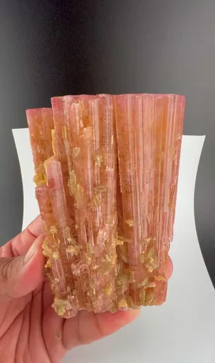 specimen video