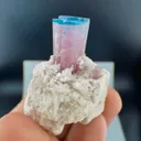Tourmaline from Afghanistan, Nuristan, Paprok - image 1