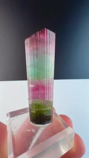 specimen video