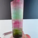specimen video