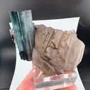 specimen video