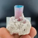Tourmaline from Afghanistan, Nuristan, Paprok - image 2