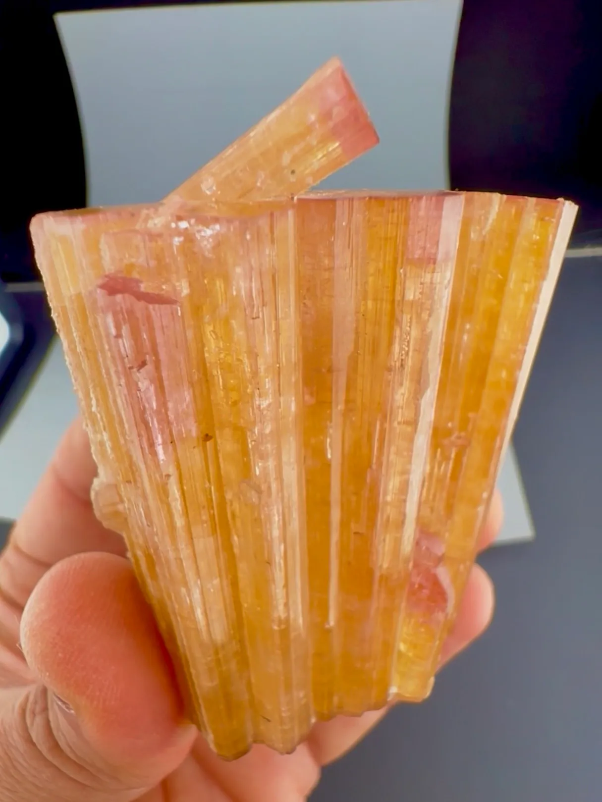 Tourmaline from Afghanistan, Nuristan, Paprok - image 4