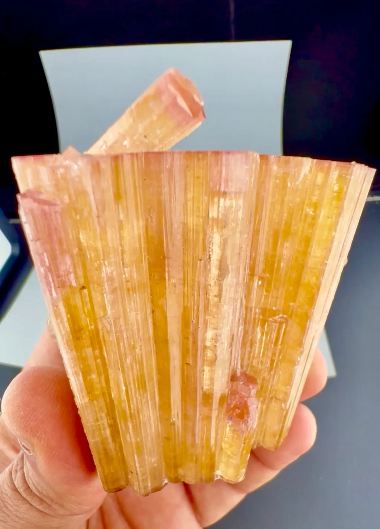 Tourmaline from Afghanistan, Nuristan, Paprok - image 2