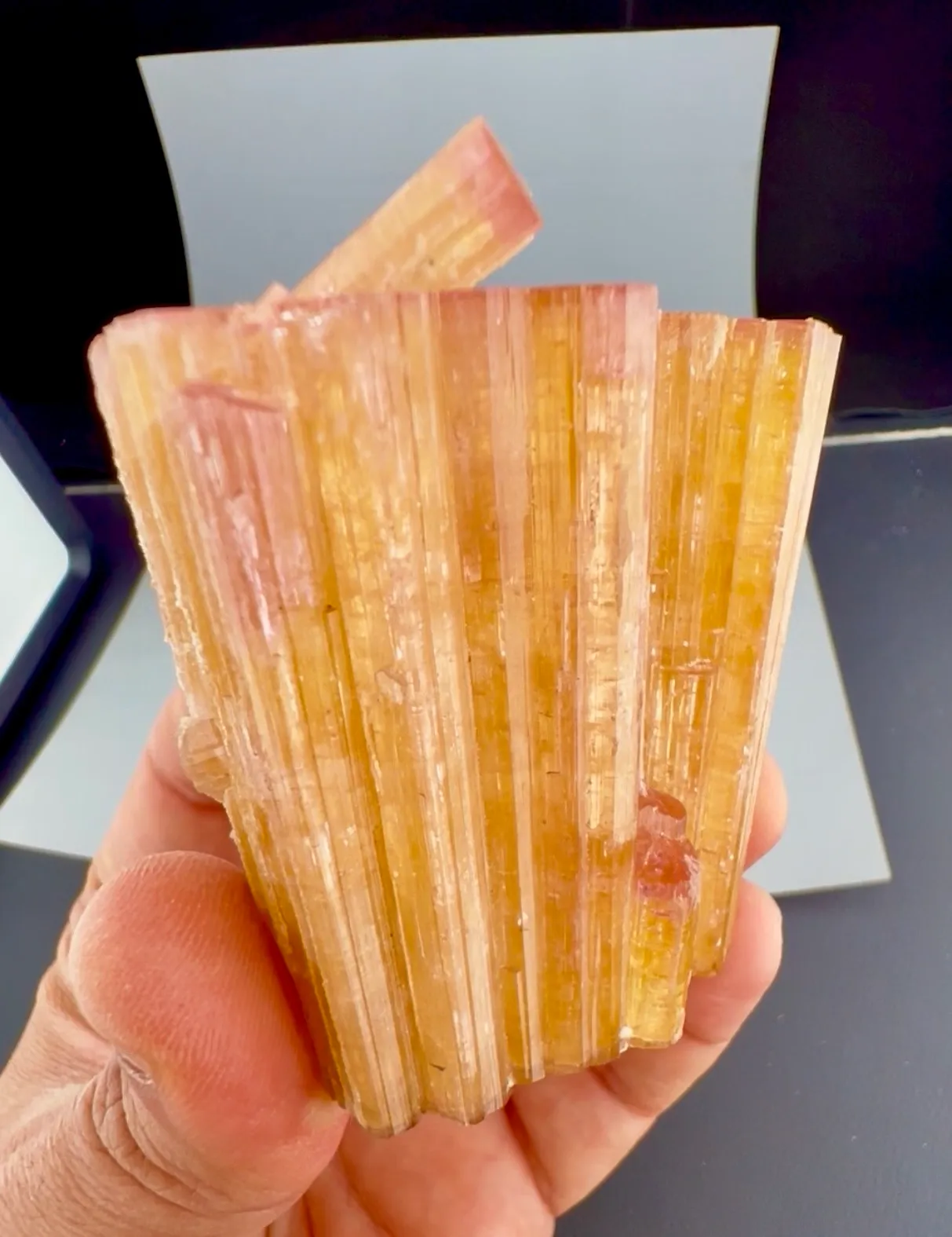 Tourmaline from Afghanistan, Nuristan, Paprok - image 5