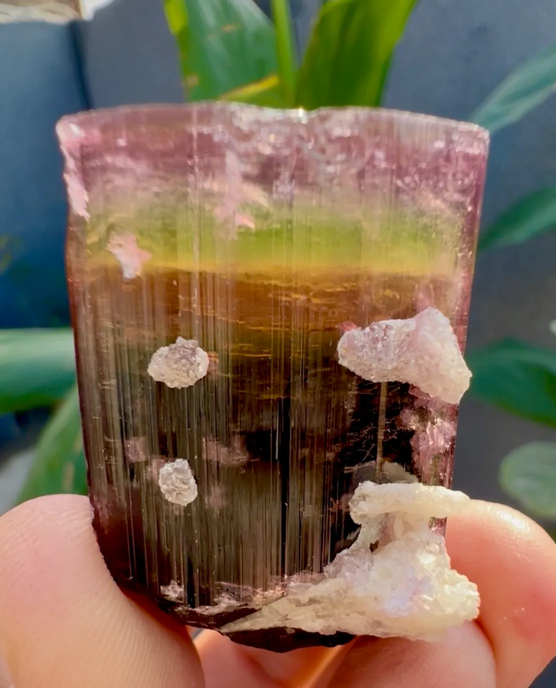 Tourmaline from Afghanistan, Nuristan, Paprok - image 2