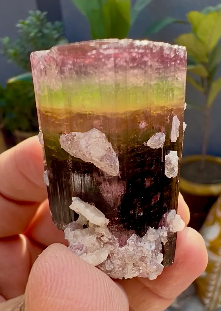 Tourmaline from Afghanistan, Nuristan, Paprok image
