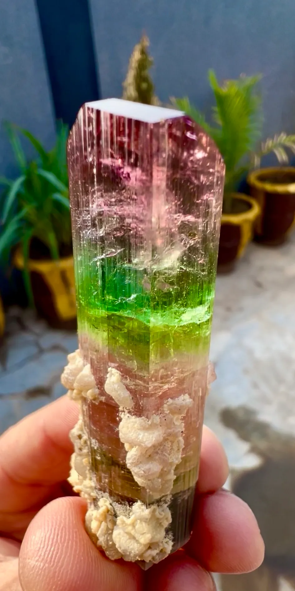 Tourmaline from Afghanistan, Nuristan, Paprok - image 6