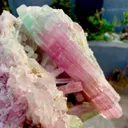 Tourmaline from Afghanistan, Nuristan, Paprok - image 2